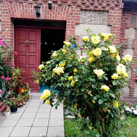 Agroturystyka U Iwonki 팜스테이 Bialowas