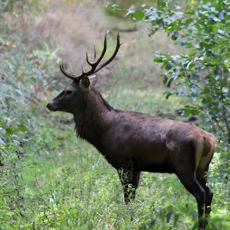 Agroturystyka U Iwonki