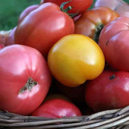Farm stay Agroturystyka U Iwonki