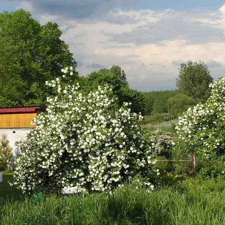 Agroturystyka U Iwonki